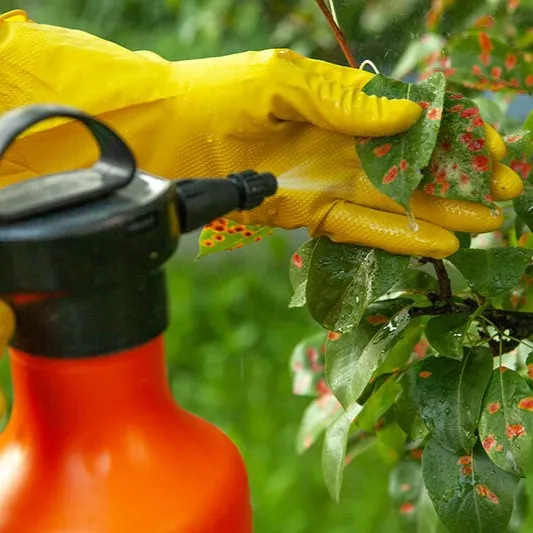 Fungicides