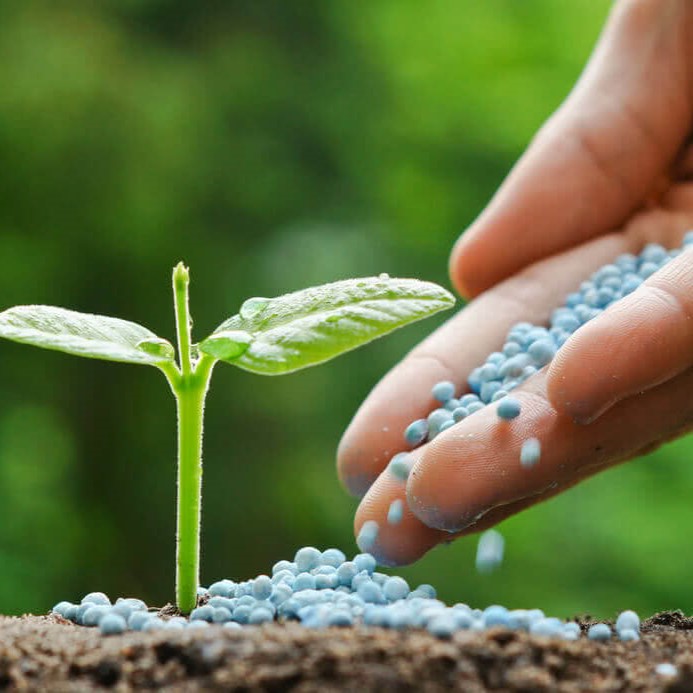 Micro Fertilizers