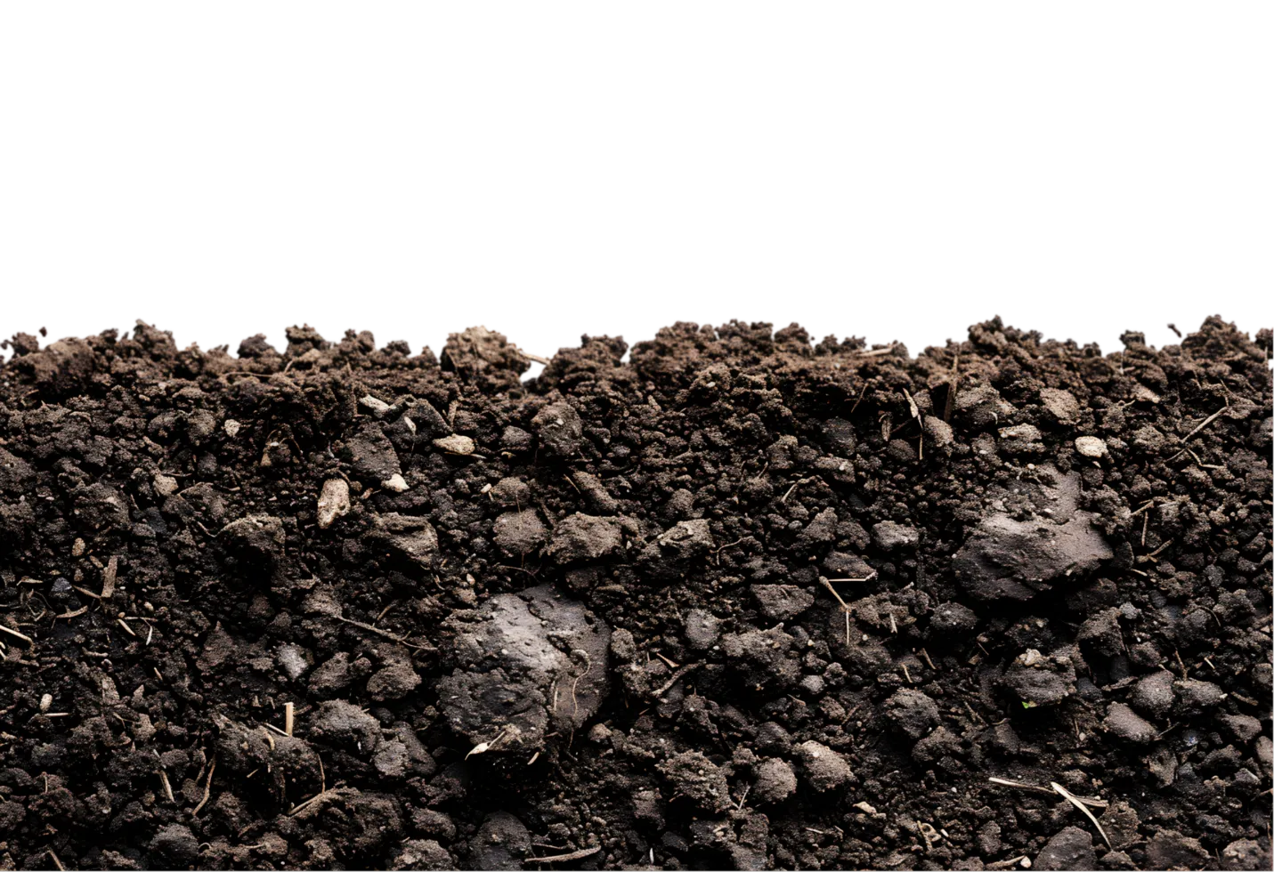 Soil